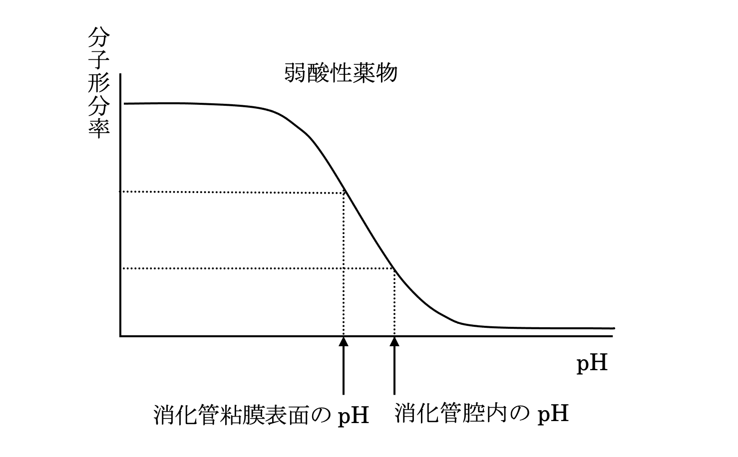解説画像